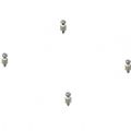 Ceramic & Screws